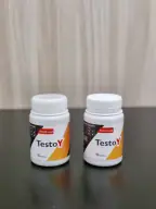 TestoY, fotografija 3