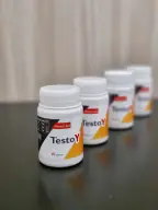 TestoY, fotografija 6