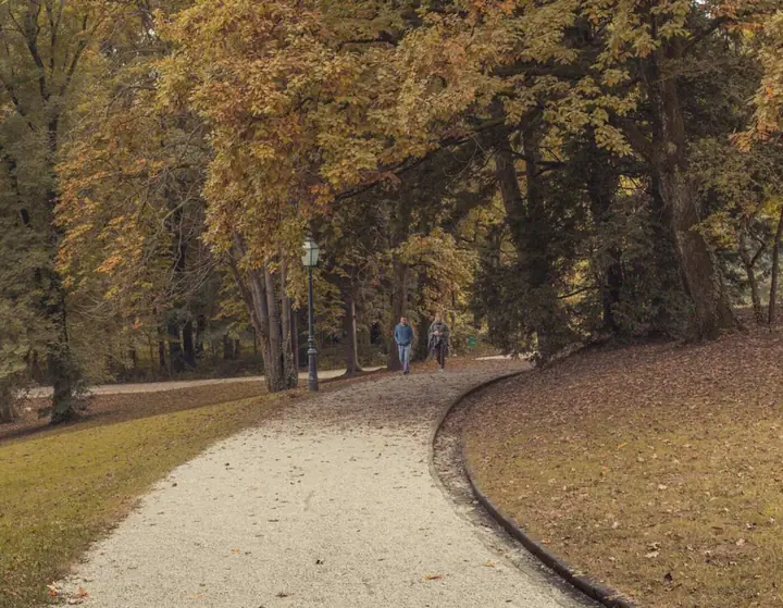 Široka šetnica kroz park u jesen, s drvećem žutog i smeđeg lišća