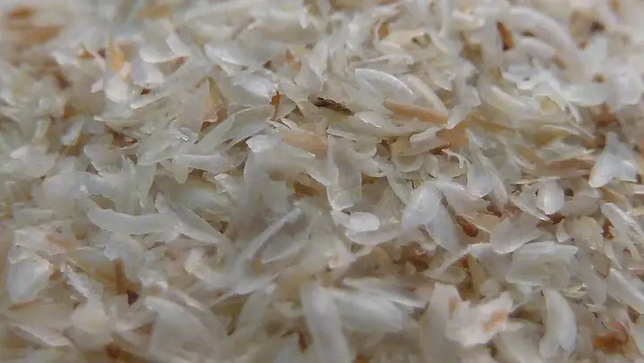 Psyllium ljuskice izbliza, svijetle i tanke kao pahuljice